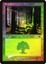 Forest (349) - Foil