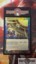 Phyrexian Arena - Chinese Foil -