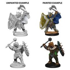 Dungeons And Dragons: Nolzur's Marvelous Unpainted Miniatures - W4 Dragonborn Male Paladin