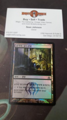 Golgari Guildgate - Korean FOIL -