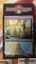 Hallowed Fountain - SIGNED FOIL -