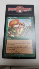 Might of Oaks - SIGNED -