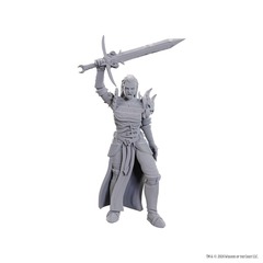 Dungeons And Dragons: Nolzur'S Marvelous Miniatures Blackguard