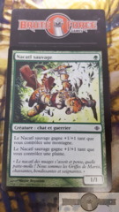 Wild Nacatl - French -
