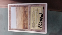 Savannah - SIGNED -
