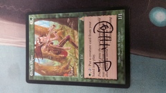 Elvish Piper - SIGNED -