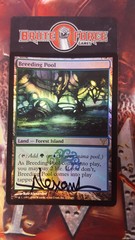 Breeding Pool - Signed Foil -