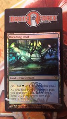 Breeding Pool - SIGNED FOIL -