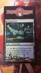 Breeding Pool - SIGNED -