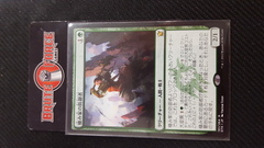 Den Protector - Japanese -