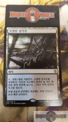 Polluted Delta - Korean -