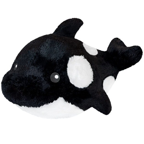 Regular Squishable Orca II