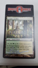 Temple Garden - SIGNED SILVER -