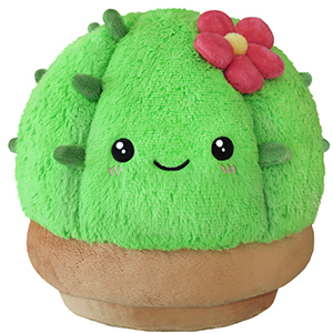 Regular Squishable Cactus