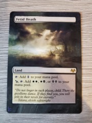 Fetid Heath - ALTERED ART