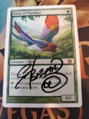 Birds of Paradise (Signed by artist in black) - 8th Edition Played