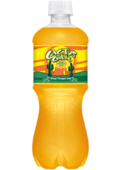 Cactus Cooler