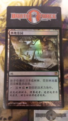 Woodland Cemetery - Chinese FOIL -