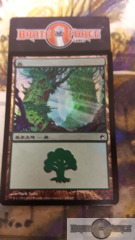 Forest #246 - Japanese FOIL -