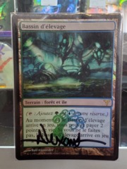 Breeding Pool - Signed French Foil - Dissension Played