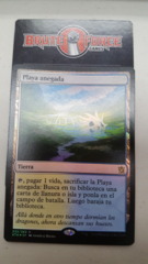 Flooded Strand - Spanish FOIL -