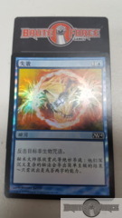 Negate - Chinese FOIL -