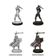 Dungeons And Dragons: Nolzur's Marvelous Unpainted Miniatures - W12 Male Human Paladin
