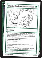 Plant a Sapling (double-faced) // Fully-Grown Treefolk