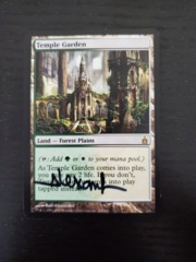 Temple Garden - SIGNED (black sharpie)