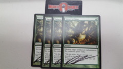 [4x] Nature's Claim [x4] - SIGNED -