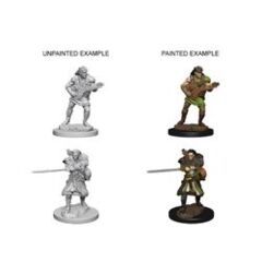 Dungeons And Dragons: Nolzur's Marvelous Unpainted Miniatures - W4 Human Male Bard