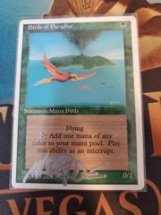 Birds of Paradise (Signed by artist in silver) - 4th Edition Played