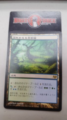 Flooded Grove - Japanese -