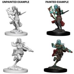 Dungeons And Dragons: Nolzur's Marvelous Unpainted Miniatures - W4 Air Genasi Female Rogue