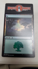 Forest (264) - Japanese FOIL -