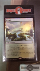 Canopy Vista - Japanese FOIL -