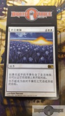 Leyline of Sanctity - Chinese -