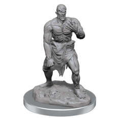 Dungeons And Dragons: Nolzur's Marvelous Unpainted Miniatures - W6 Flesh Golem