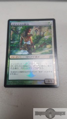 Dryad Militant - Japanese FOIL -