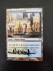 Hallowed Fountain - SIGNED (black sharpie)
