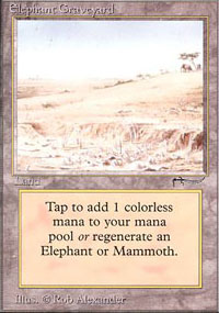 Elephant Graveyard