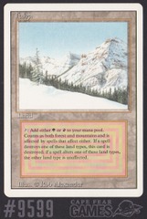 Taiga - #9599