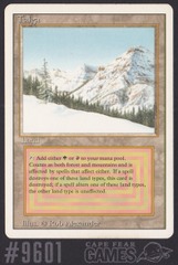 Taiga - #9601