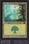 Forest - Guru Land - #9708