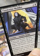 Clandestine Meddler (b) - (white curtains)