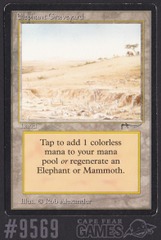 Elephant Graveyard - #9569