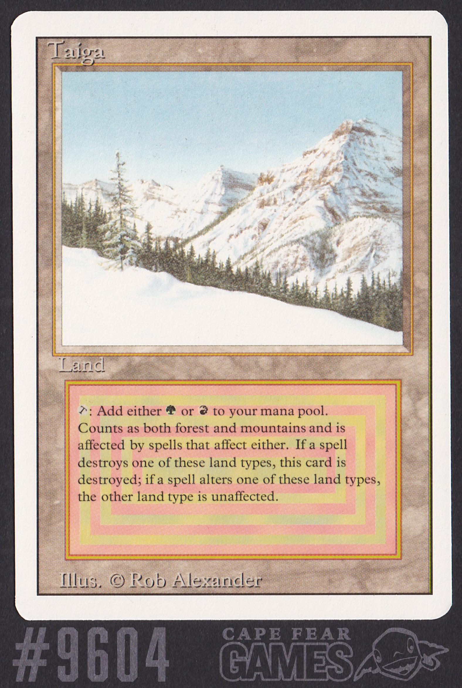Taiga - #9604