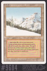 Taiga - #9604