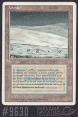 Tundra (French, White Border) - #9630
