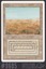 Scrubland - #9605